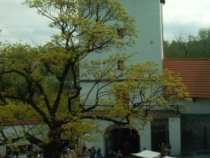 Den Země