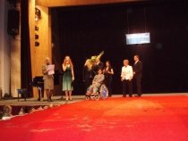 Evropské dny handicapu a křišťálový kamínek