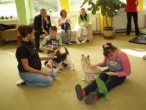 Canisterapie pro Čtyřlístek – 6. října 2010