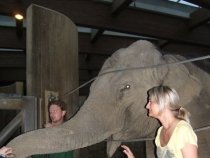 Noc snů v ostravské zoo – 9. června 2010