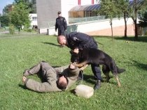 Letní setkání s Policí České republiky – 29. července 2010