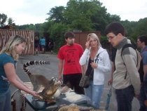 Noc snů v ostravské Zoo – 8. června 2011