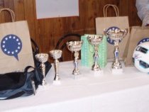 Evropské dny handicapu – 3. – 7. října 2011