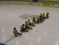 Fandíme sledge hokeji – 15. ledna 2011