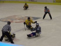 Fandíme sledge hokeji – 15. ledna 2011