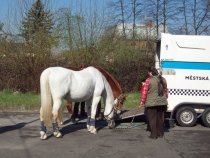 Loučení s Norikou a Elevem – pátek 20. dubna 2012