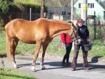 Loučení s Norikou a Elevem – pátek 20. dubna 2012