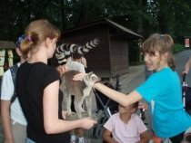 Noc snů v ostravské Zoo – pondělí 18. června 2012