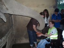Noc snů v ostravské Zoo – pondělí 18. června 2012