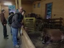 Noc snů v ostravské Zoo