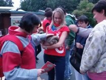 Noc snů v ostravské Zoo
