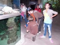 Noc snů v ostravské Zoo
