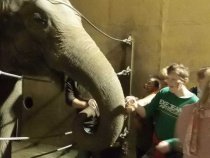 Noc snů v ostravské Zoo